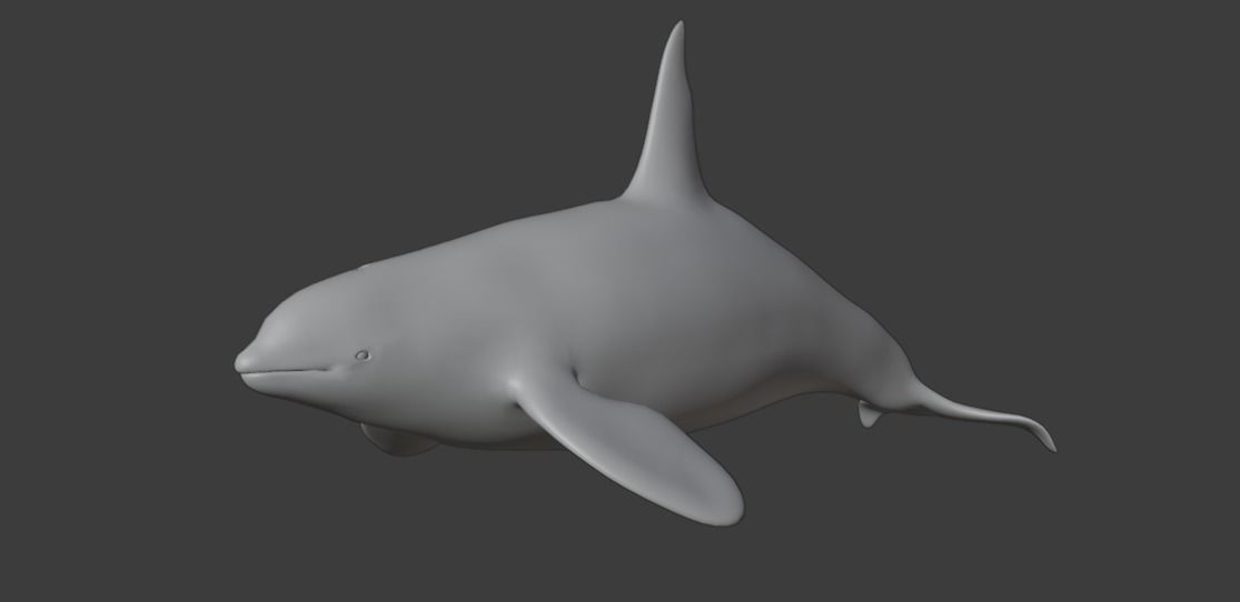 Killer Whale Orca Animated Low-poly 3D model_14