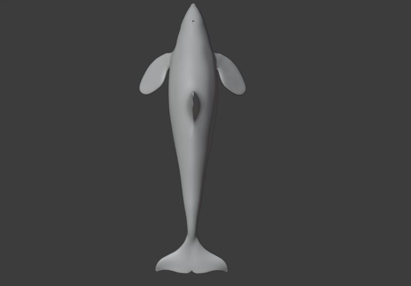 Killer Whale Orca Animated Low-poly 3D model_15
