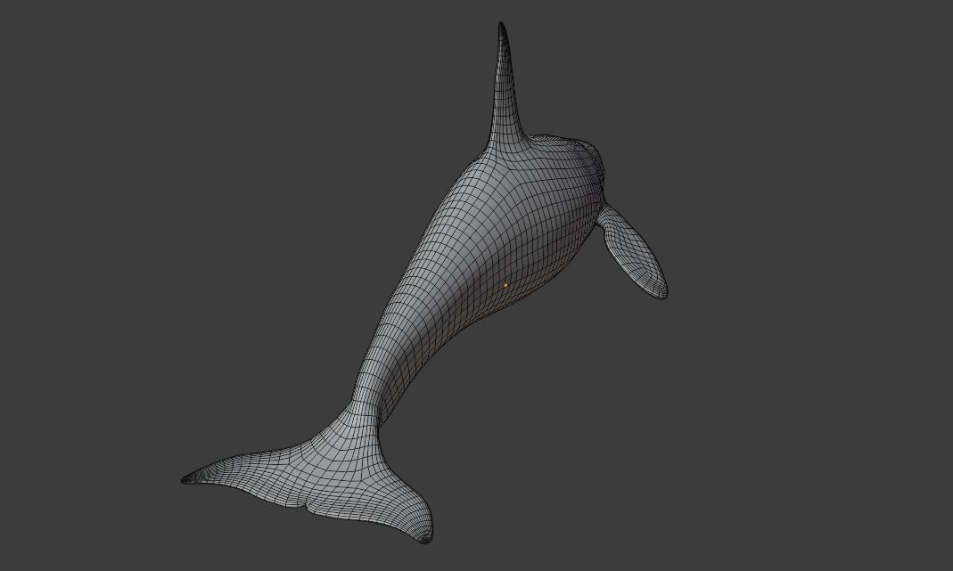 Killer Whale Orca Animated Low-poly 3D model_19