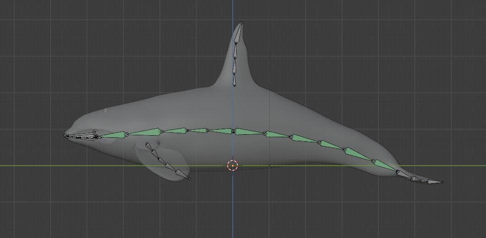 Killer Whale Orca Animated Low-poly 3D model_26