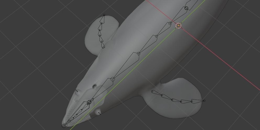 Killer Whale Orca Animated Low-poly 3D model_28