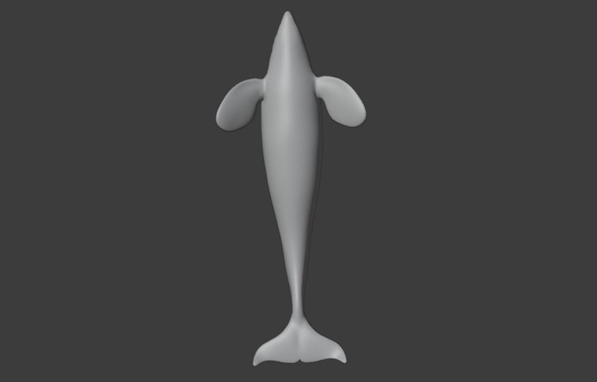 Killer Whale Orca Animated Low-poly 3D model_16