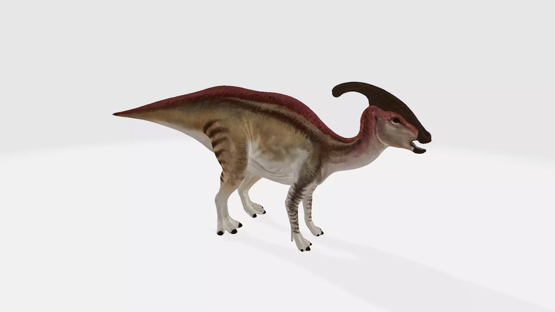 Parasaurolophus dinosaur with long horns 3D model_0