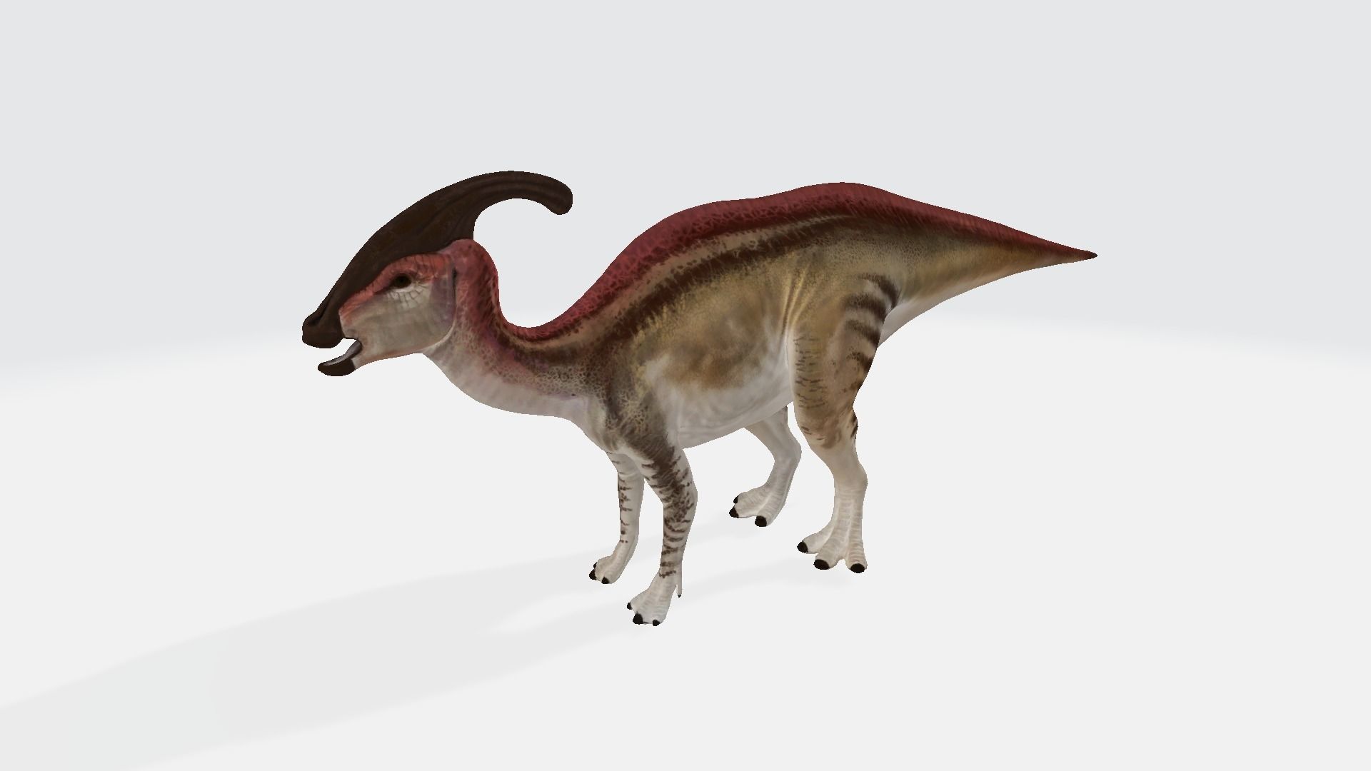 Parasaurolophus dinosaur with long horns 3D model_1