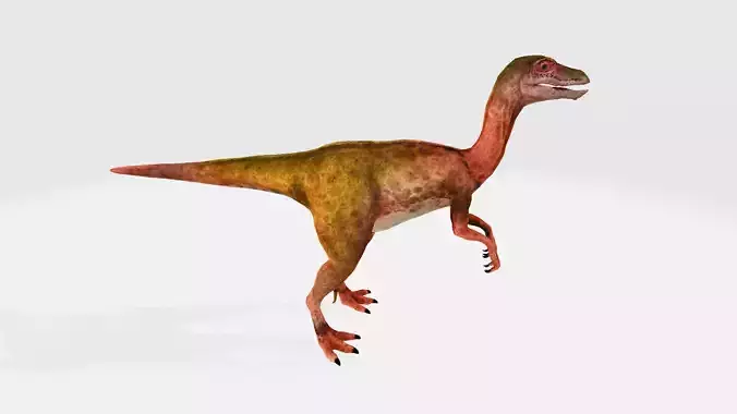 Pelecanimimus dinosaur