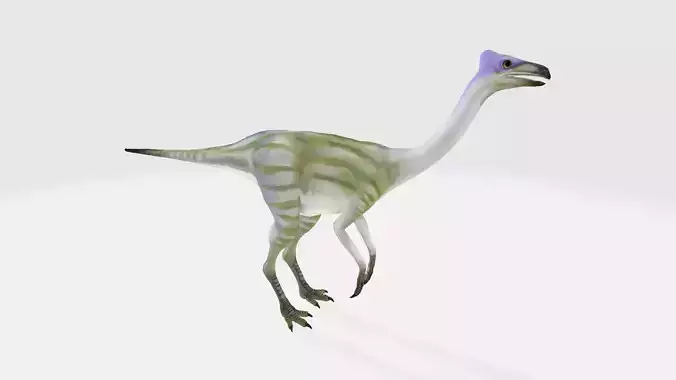 Pelecanimimus dinosaur 3D model