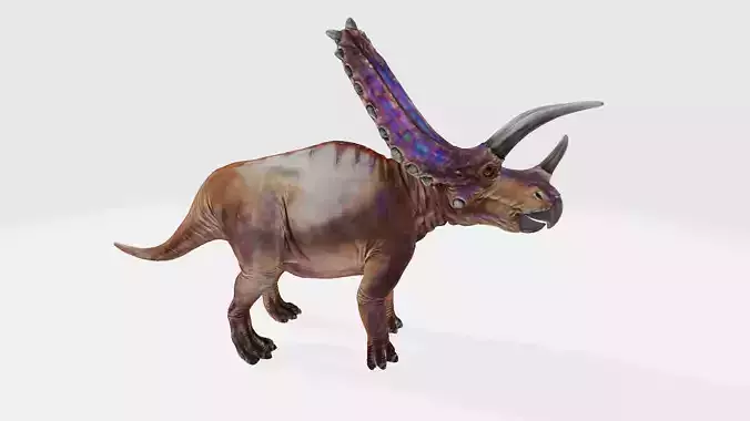 Pentaceratops triceratops dinosaur