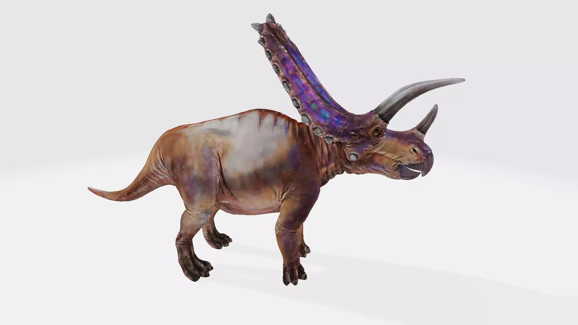 Pentaceratops triceratops dinosaur 3D model_0