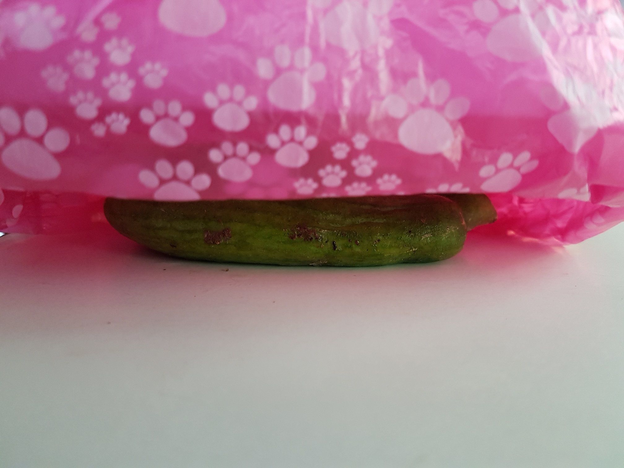 POOPER SCOOPER  PICKS UP DOG SHIT 3D print model_15