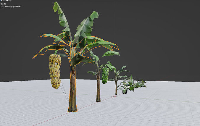 Bananas and other Tropical Plants Low-poly 3D model