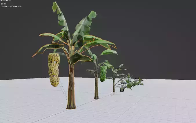 Bananas and other Tropical Plants