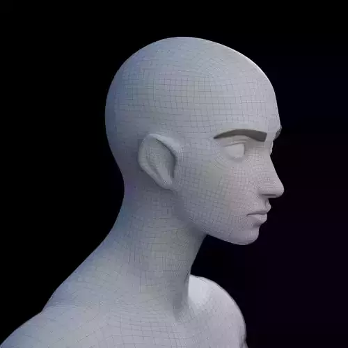 Stylized Female Base Mesh