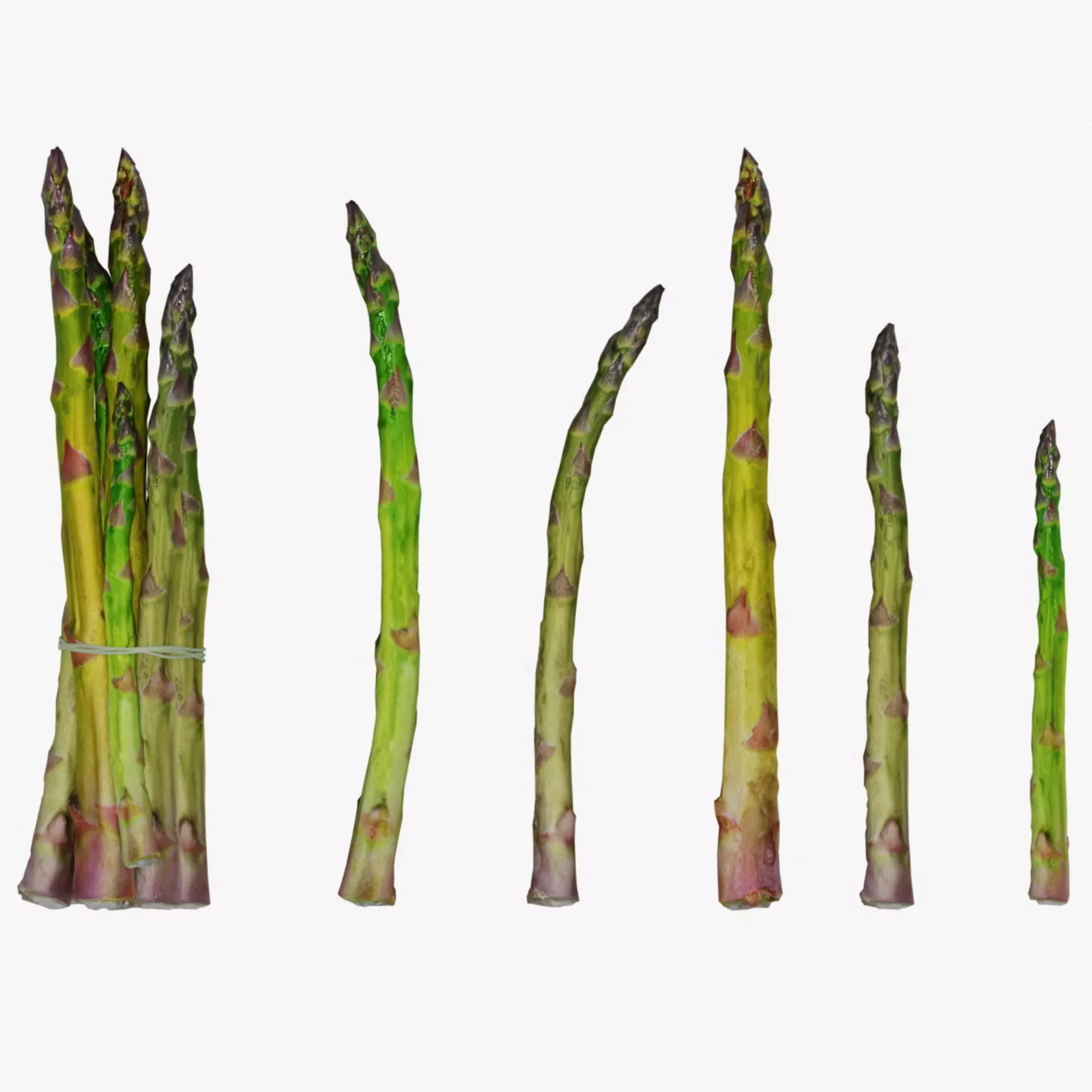 asparagus Low-poly 3D model_0