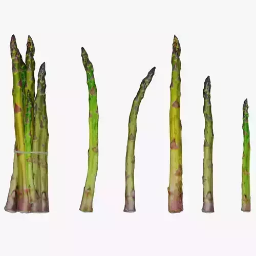asparagus Low-poly 3D model