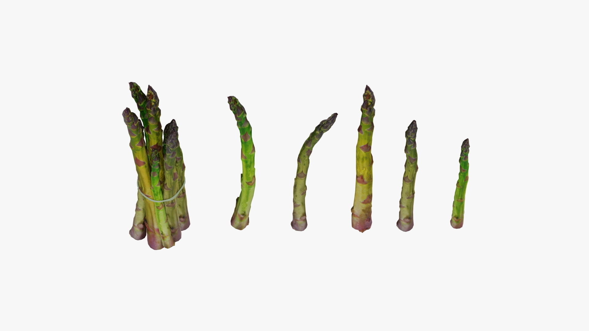 asparagus Low-poly 3D model_6