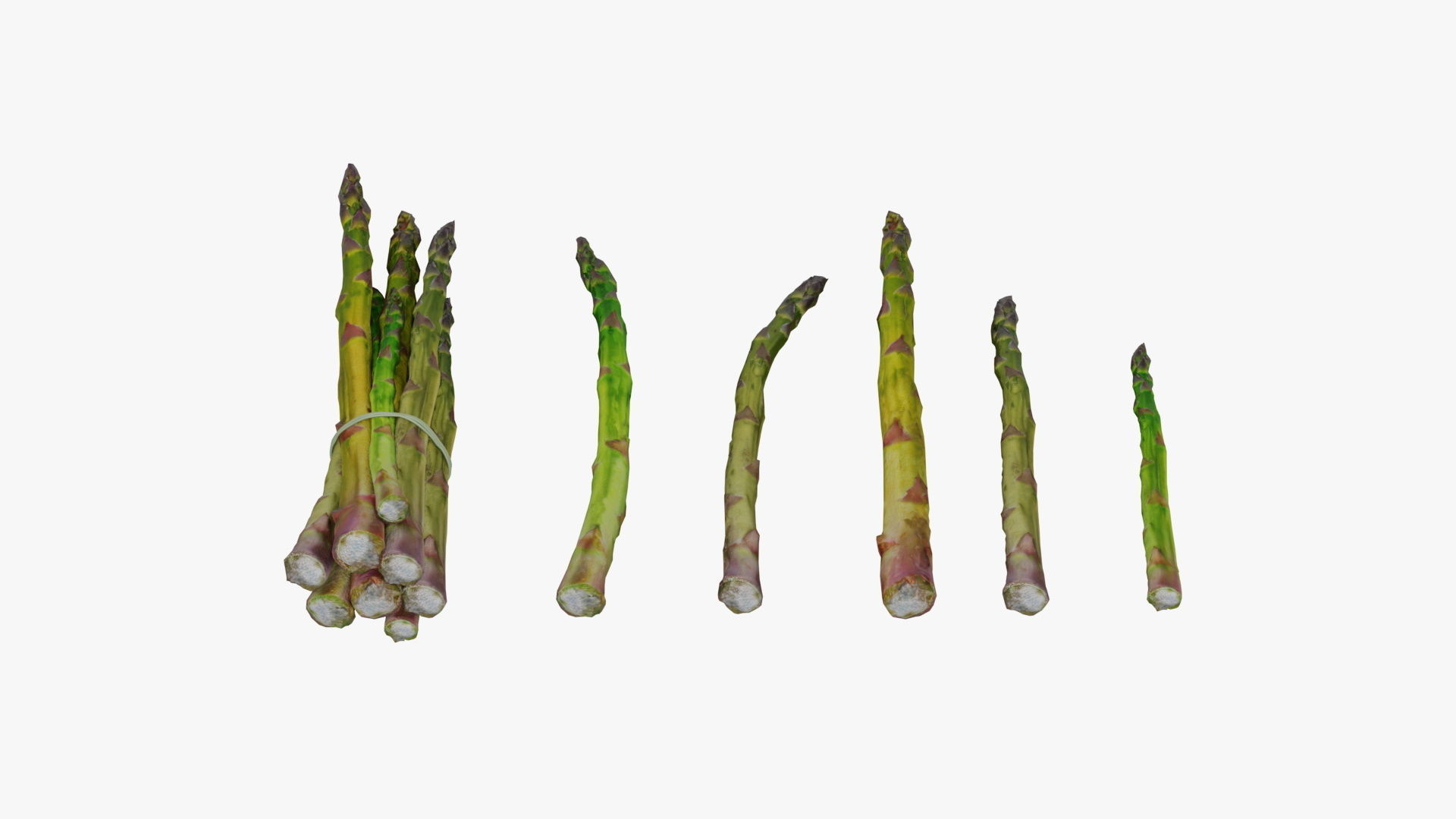 asparagus Low-poly 3D model_5