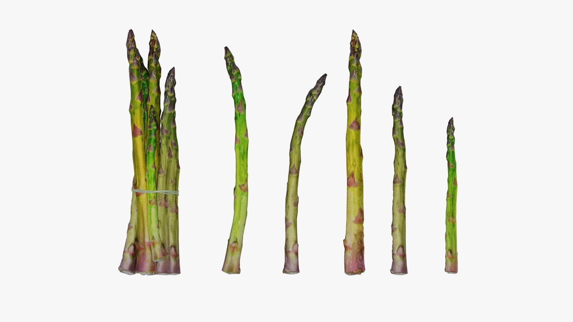 asparagus Low-poly 3D model_2