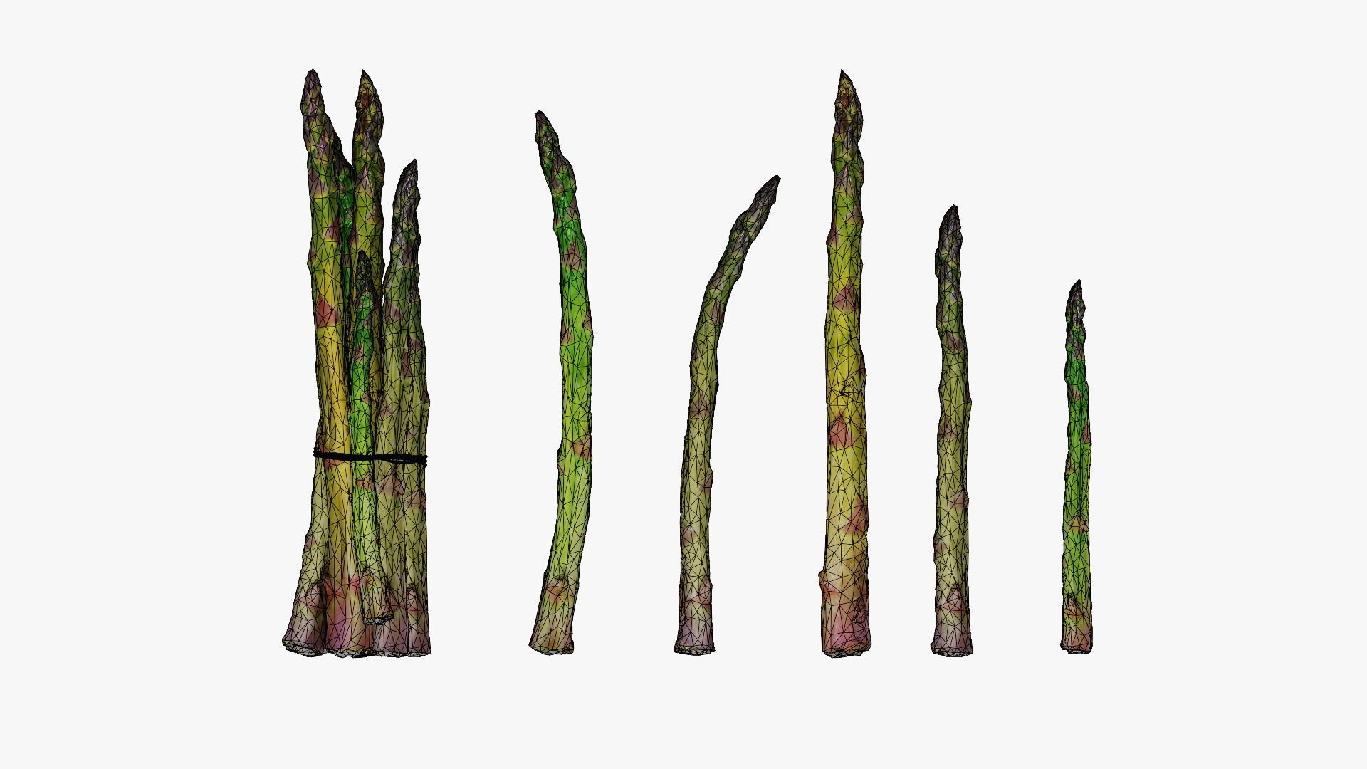 asparagus Low-poly 3D model_7