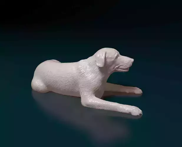 Labrador  3D print model