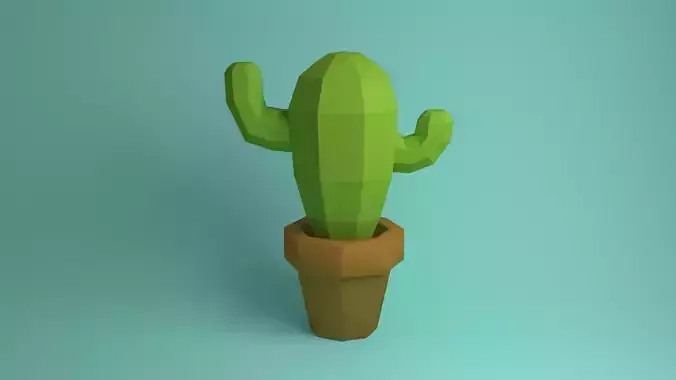 cactus in pot