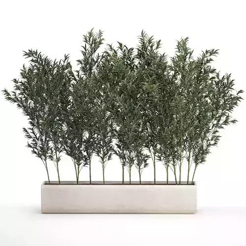 Bamboo thickets for landscaping and outdoors in a flowerpot 3D model