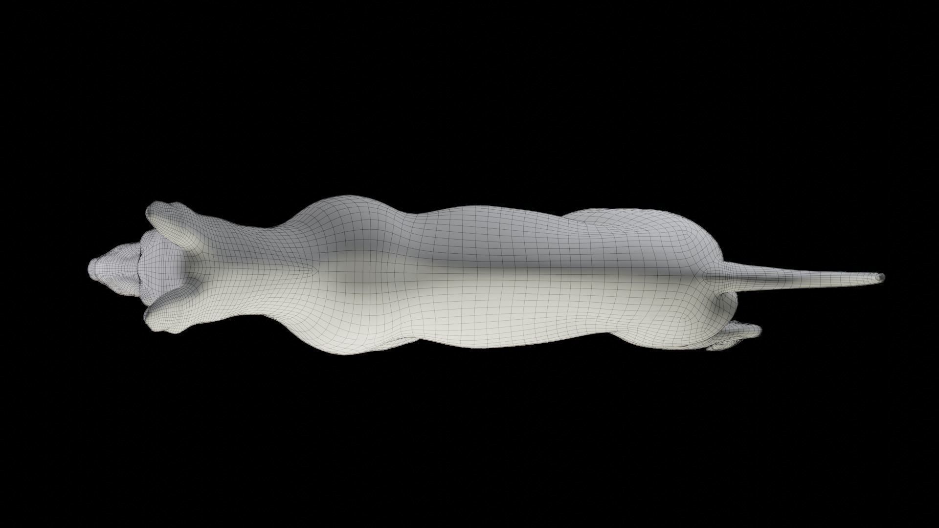 Fur Black Dog Rigged Low-poly 3D model_21