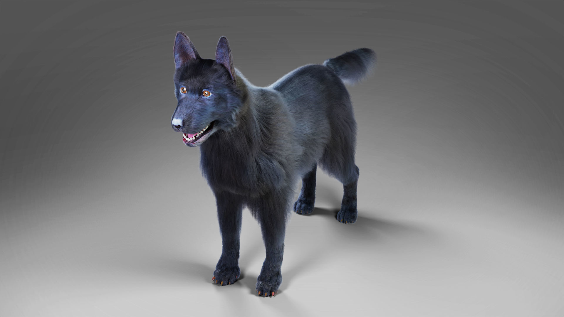 Fur Black Dog Rigged Low-poly 3D model_5