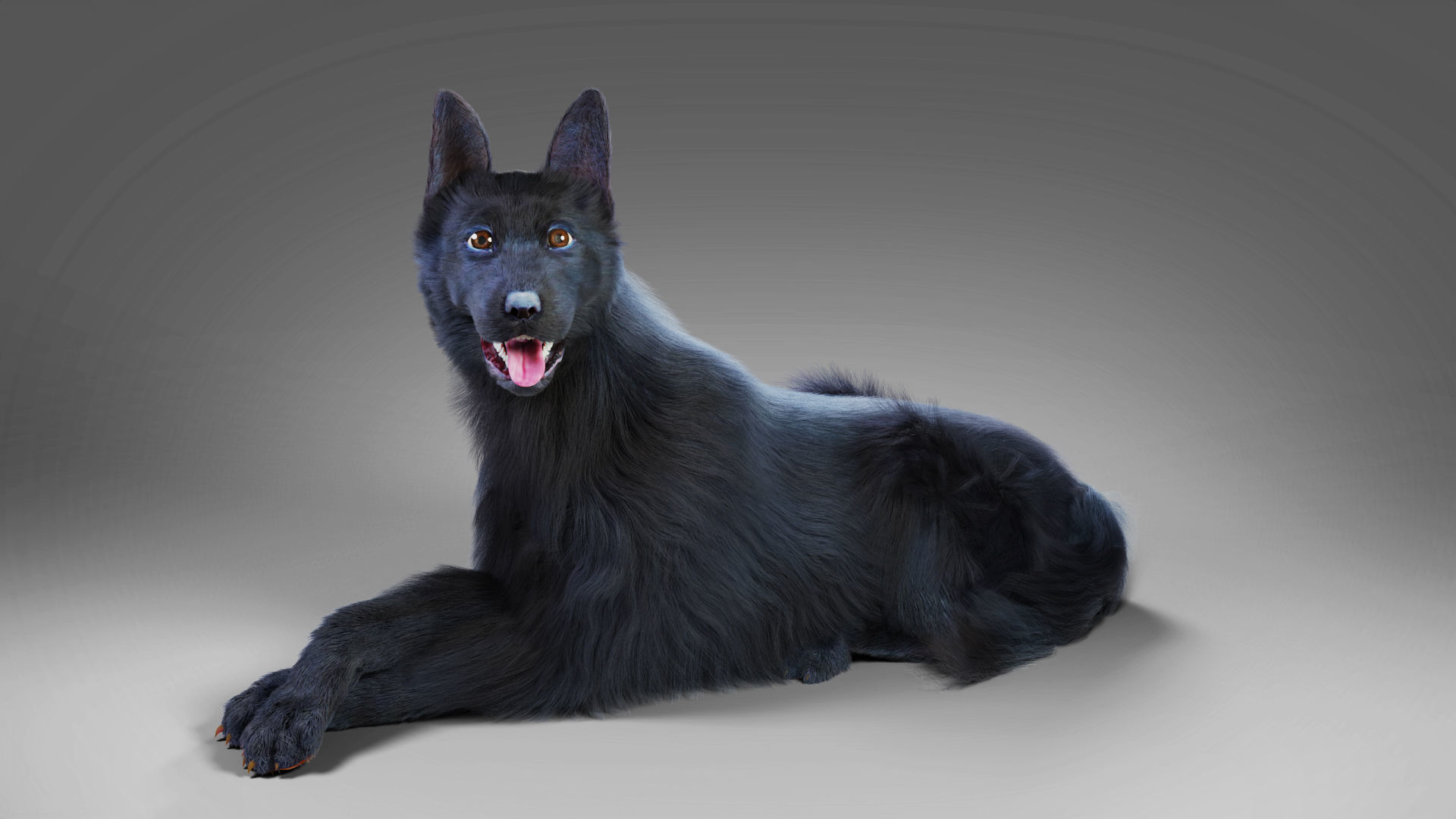 Fur Black Dog Rigged Low-poly 3D model_2
