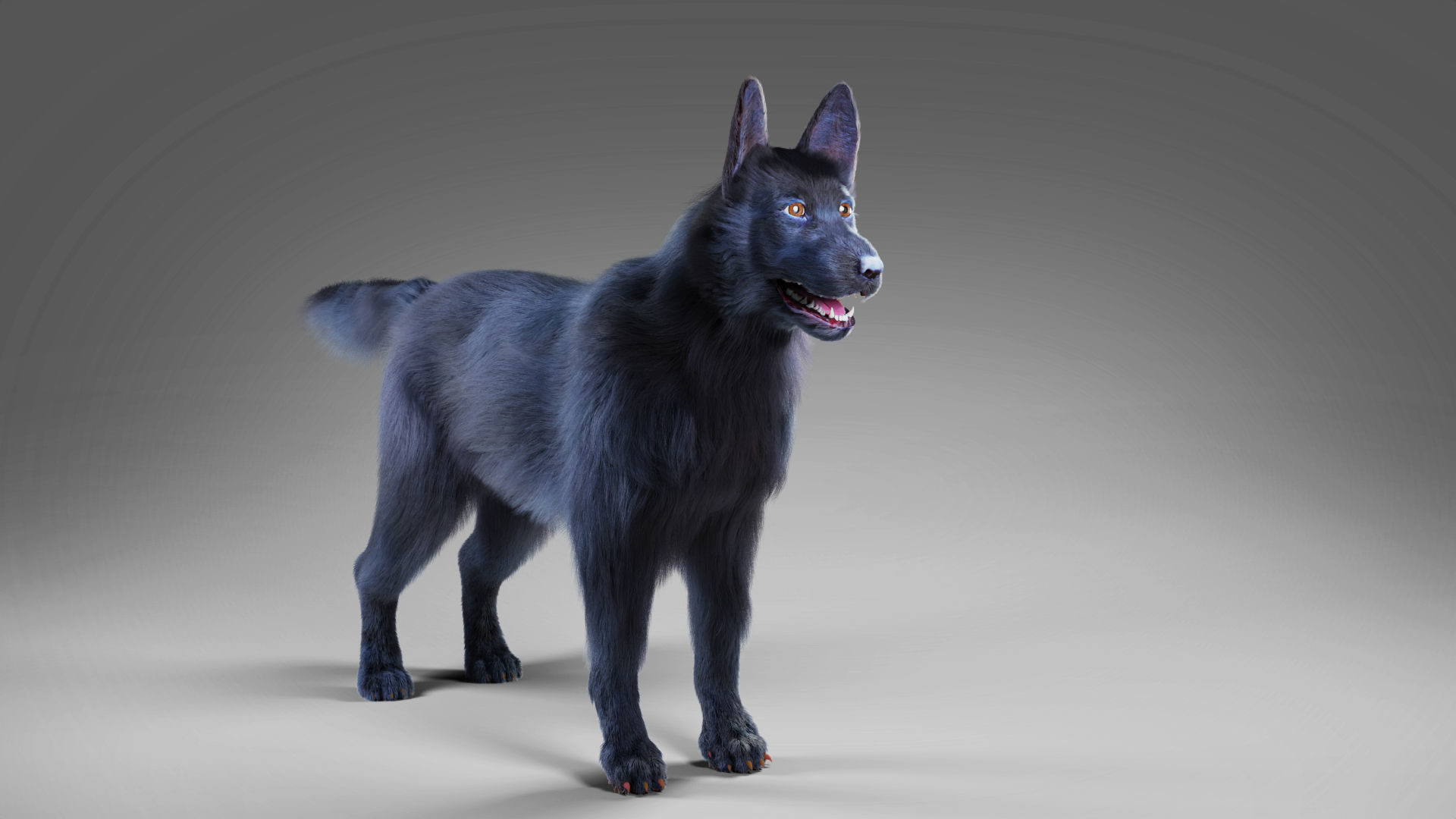 Fur Black Dog Rigged Low-poly 3D model_6