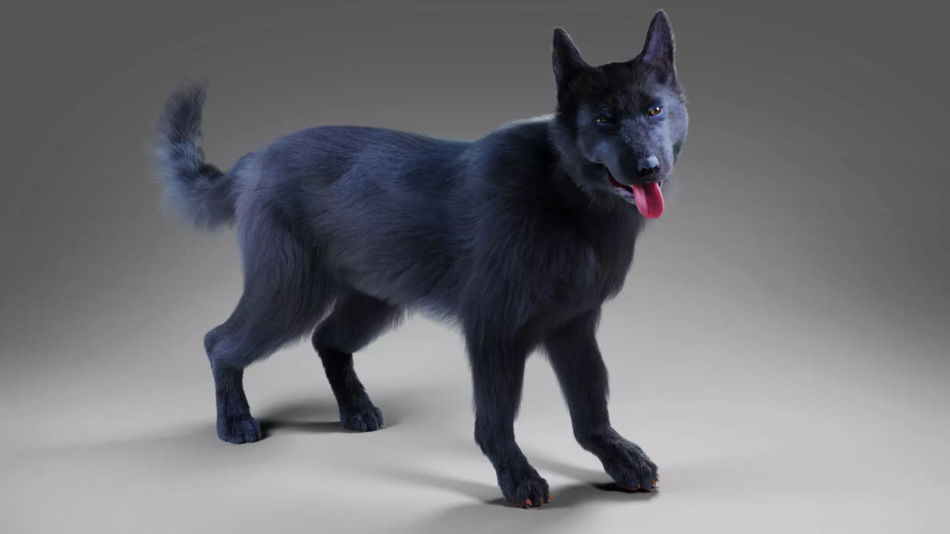 Fur Black Dog Rigged Low-poly 3D model_0
