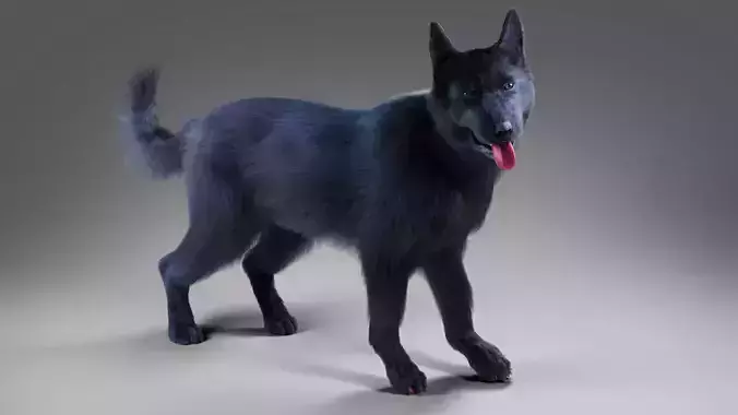Fur Black Dog Rigged Low-poly 3D model