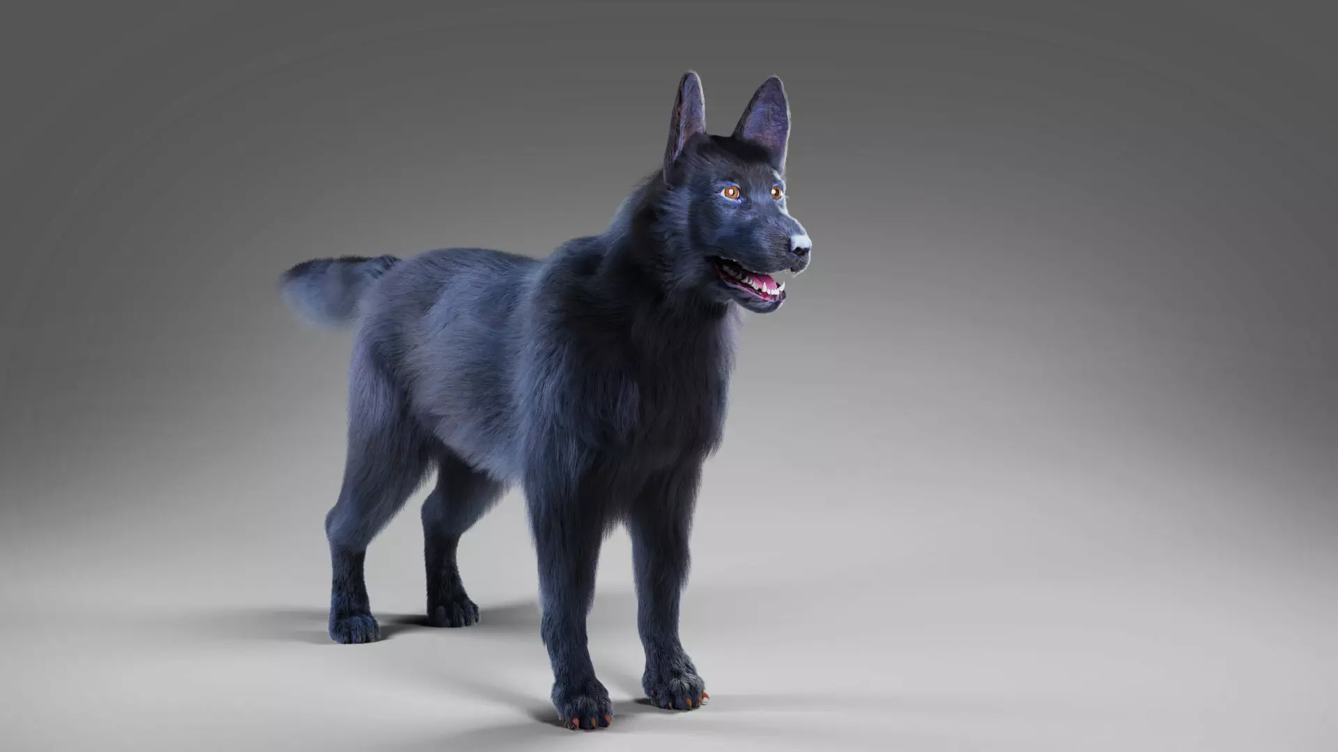 Fur Black Dog NO Rig Low-poly 3D model_0