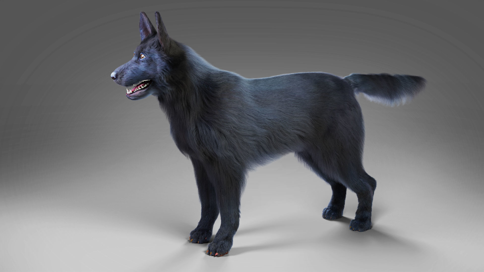 Fur Black Dog NO Rig Low-poly 3D model_2