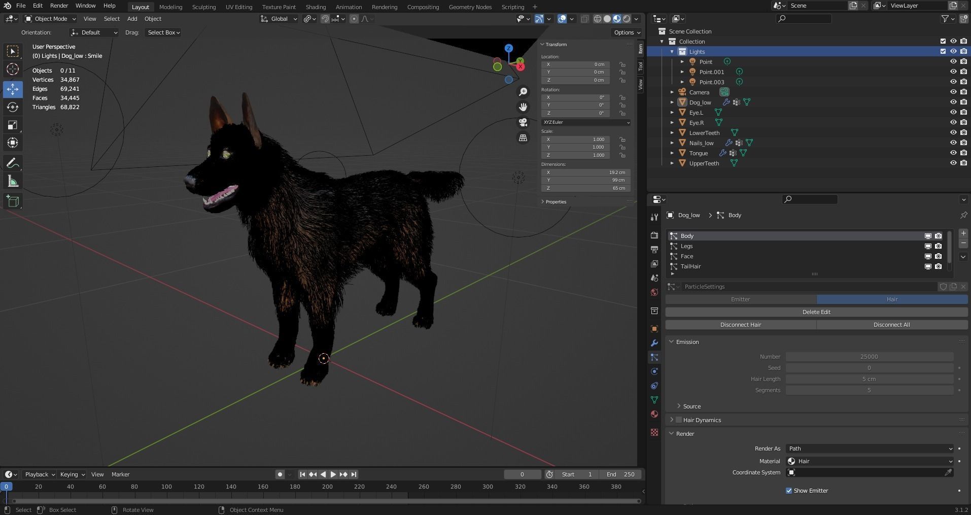 Fur Black Dog NO Rig Low-poly 3D model_7