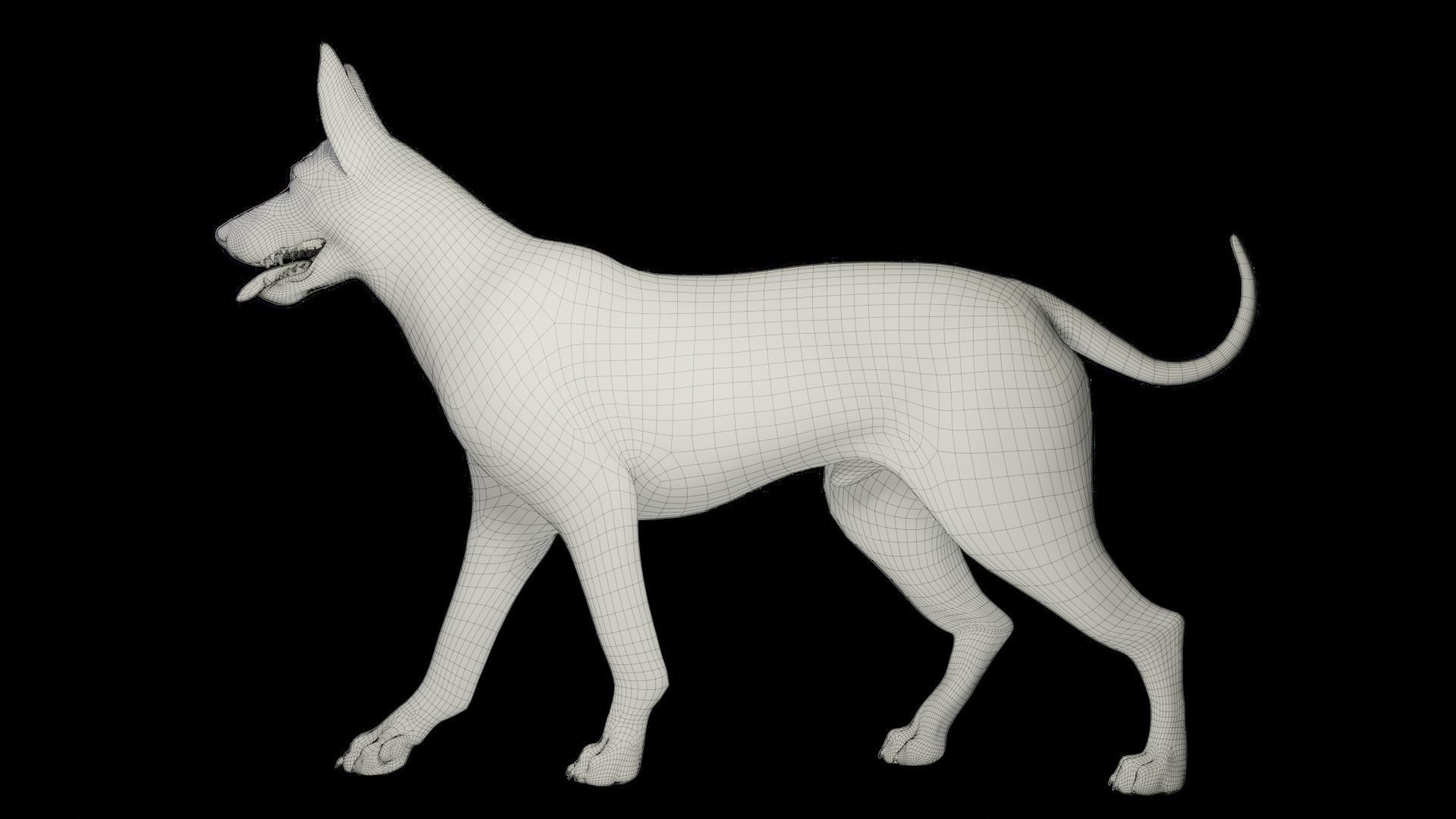 Fur Black Dog NO Rig Low-poly 3D model_14