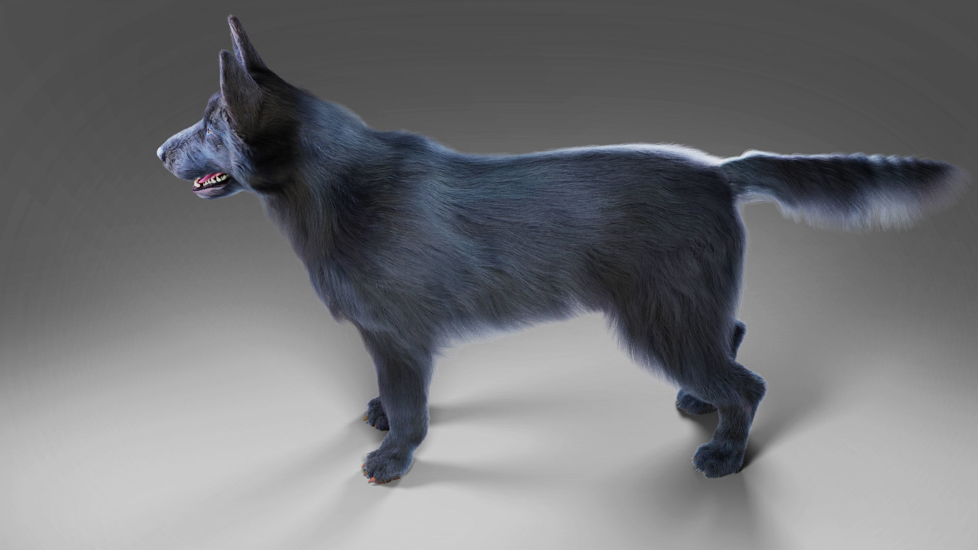 Fur Black Dog NO Rig Low-poly 3D model_4