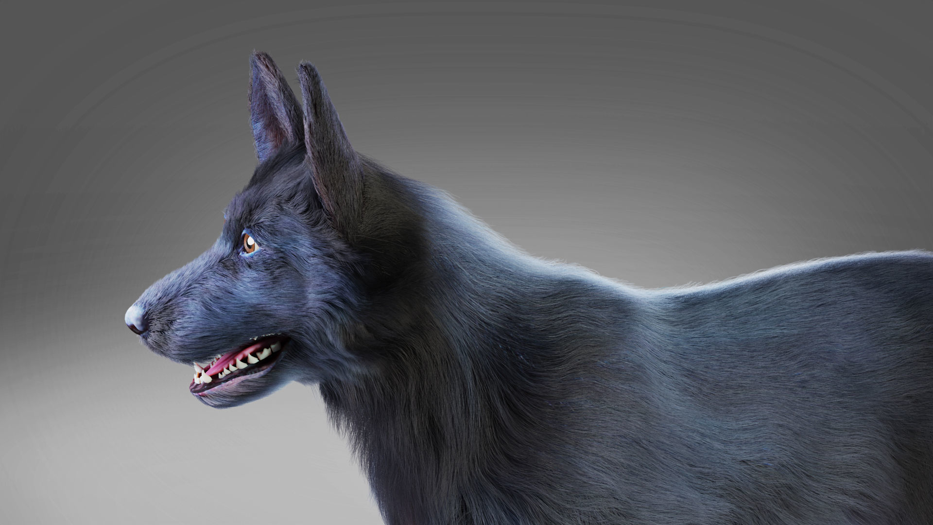 Fur Black Dog NO Rig Low-poly 3D model_1