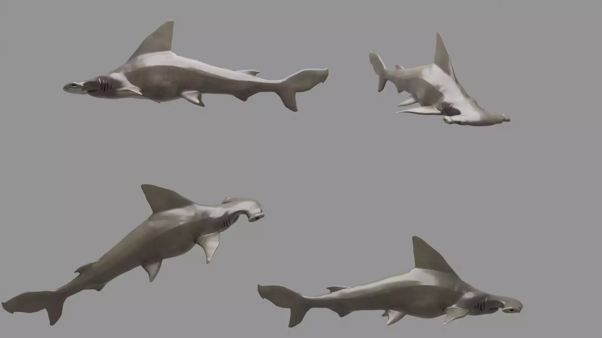 hammerhead shark Low-poly 3D model