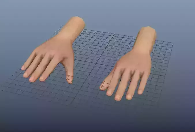 Female Hand Lowpoly