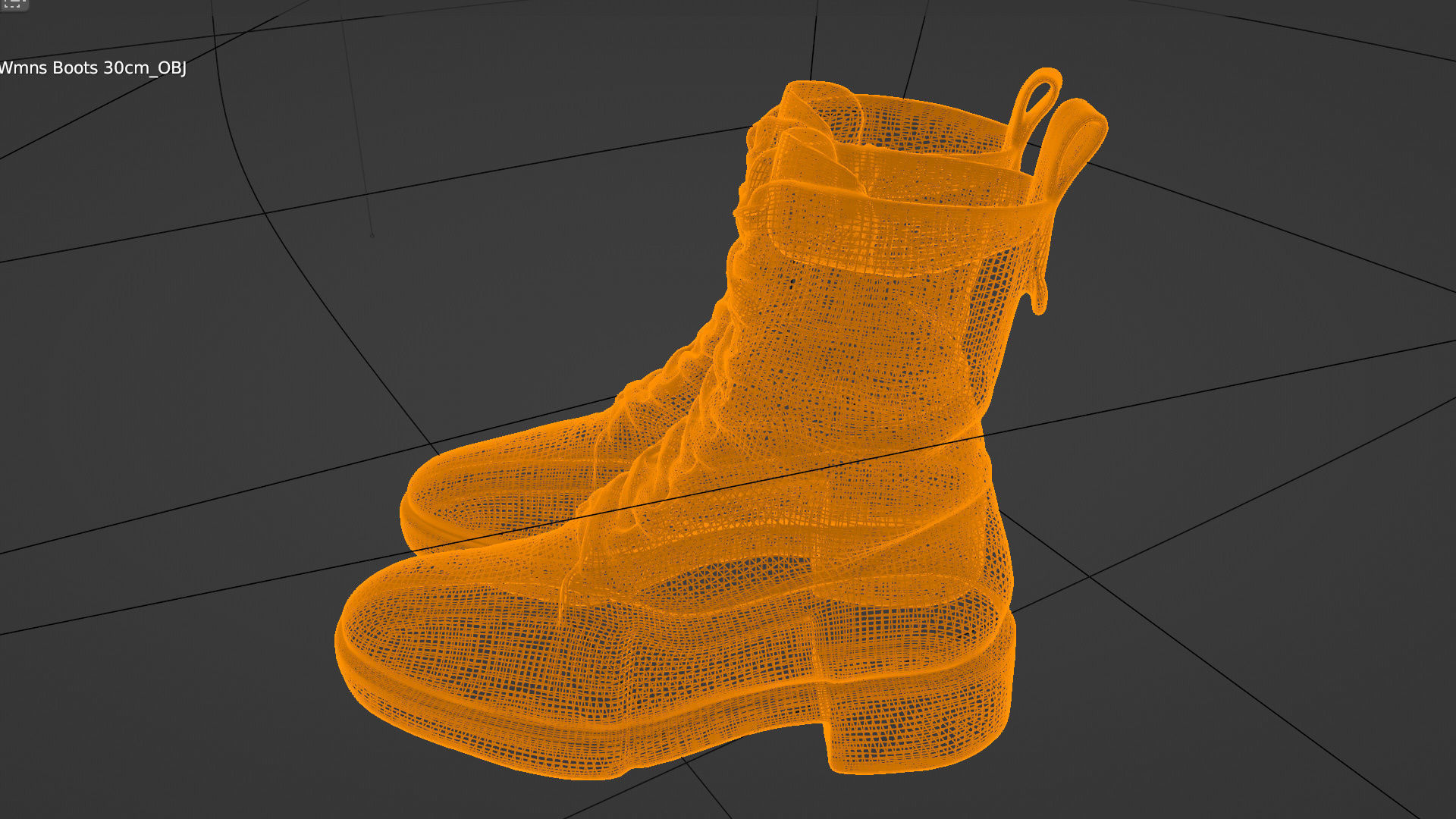 Pair of leather boots womans footwear shoes autumn spring season 3D model_3