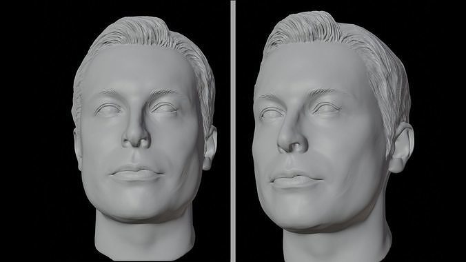 ELON MUSK head 3d  3D print model