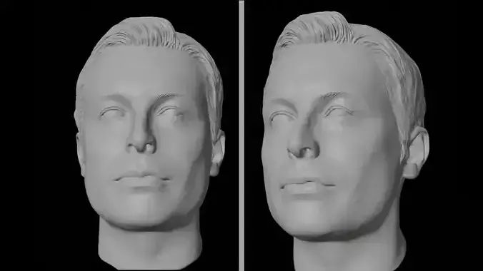 ELON MUSK head 3d  3D print model