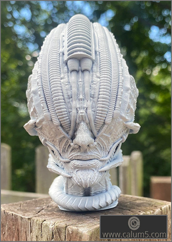 2 Giger style Alien Models 3D print model_1