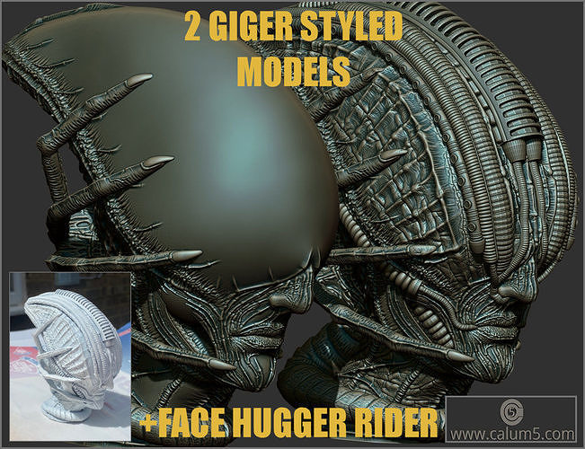 2 Giger style Alien Models 3D print model