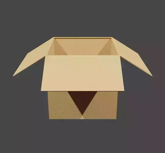 Cardboard Box 3D model