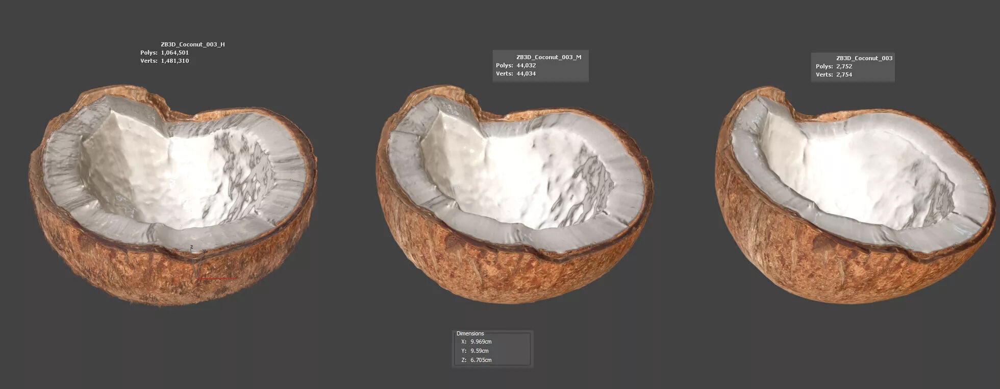 Coconut 3D model_5