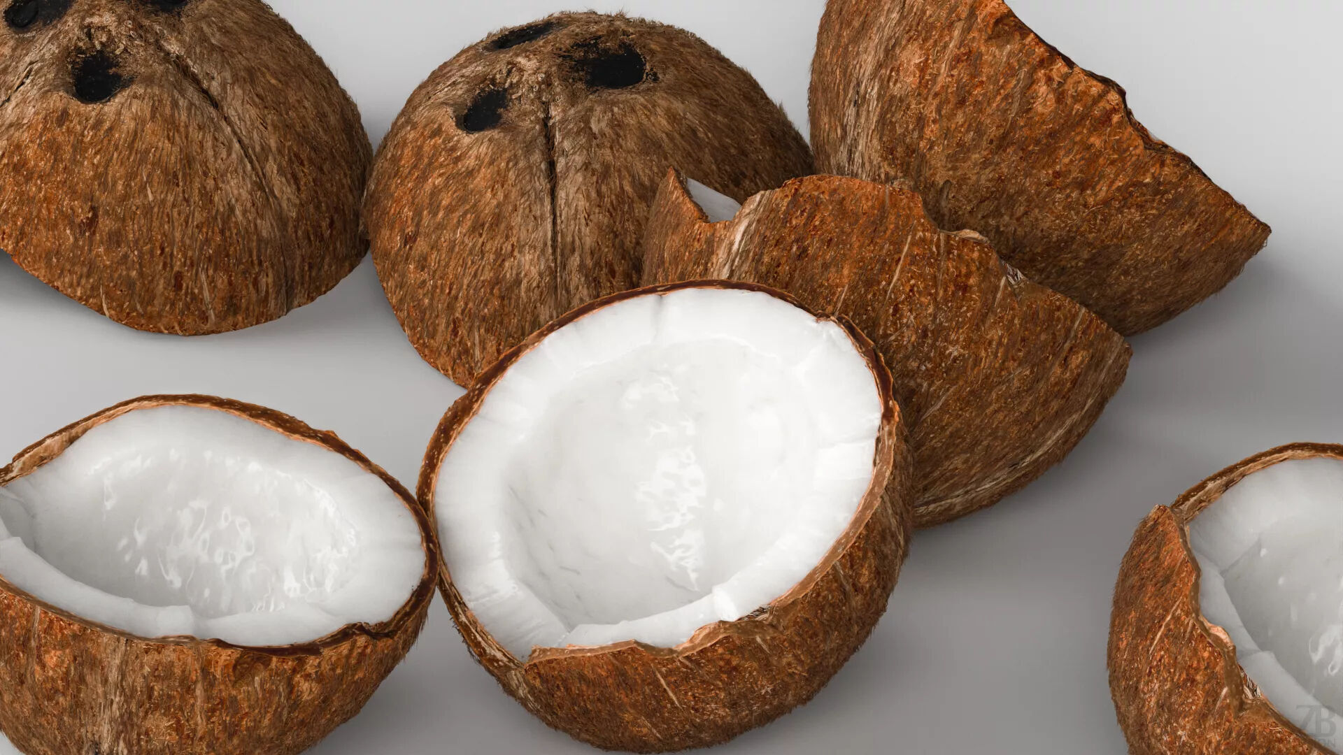 Coconut 3D model_2