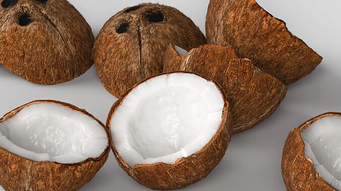 Coconut 3D model 3