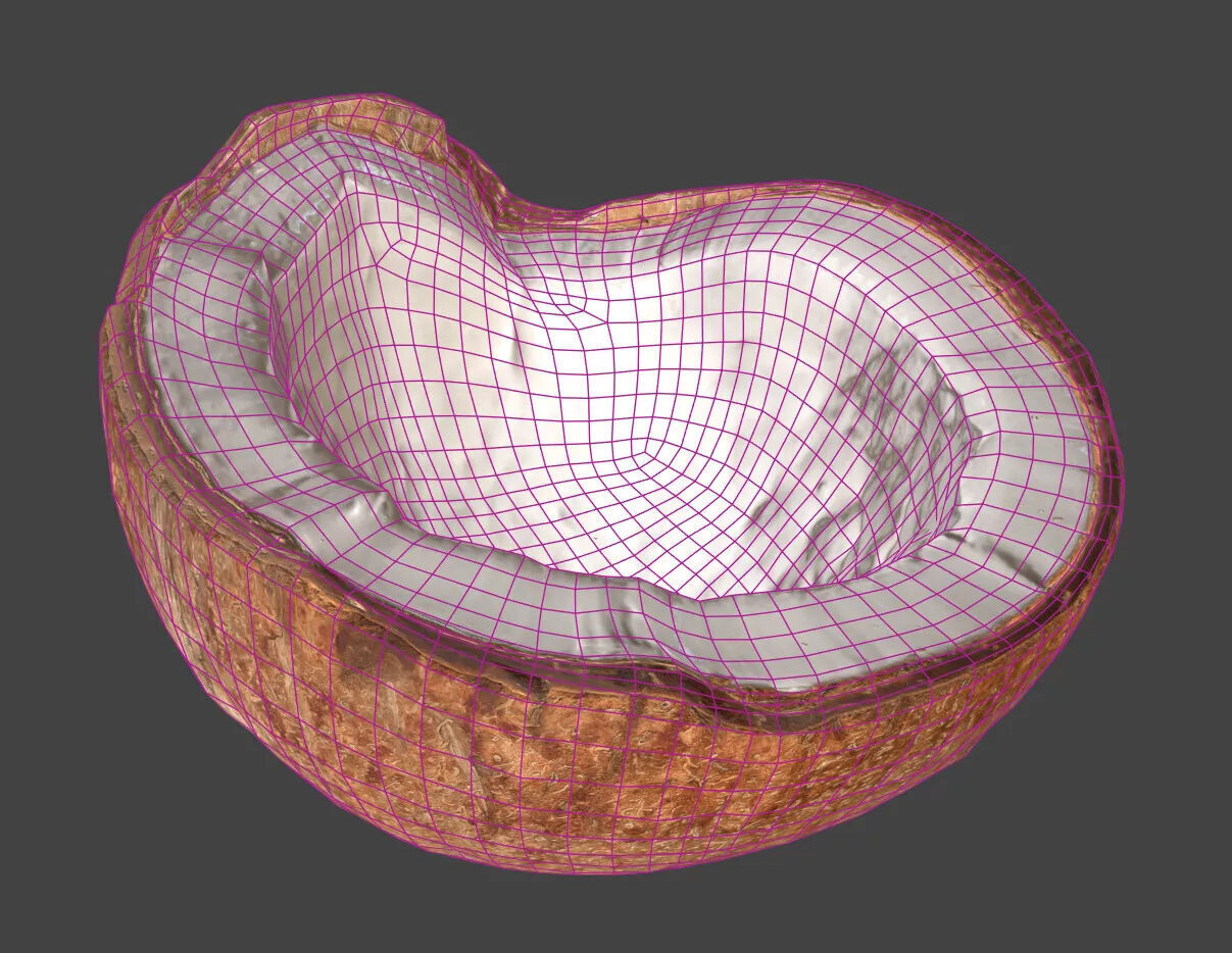 Coconut 3D model_6