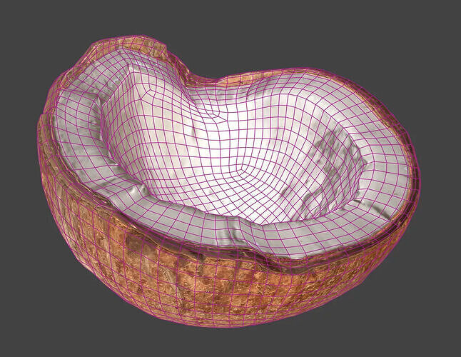Coconut 3D model 7